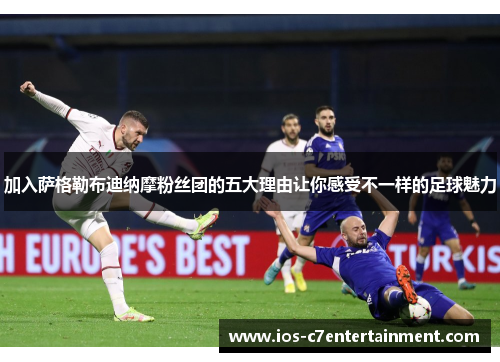 加入萨格勒布迪纳摩粉丝团的五大理由让你感受不一样的足球魅力