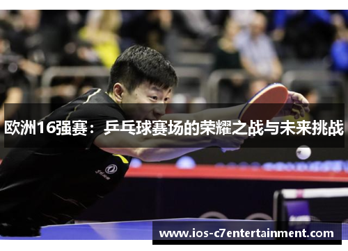 欧洲16强赛：乒乓球赛场的荣耀之战与未来挑战