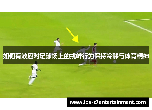 如何有效应对足球场上的挑衅行为保持冷静与体育精神