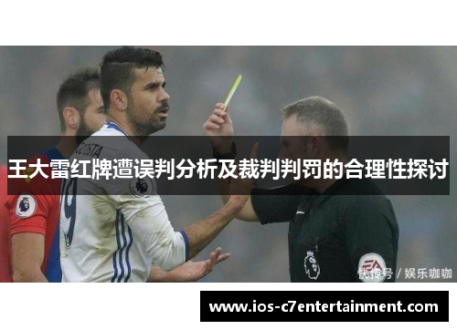 王大雷红牌遭误判分析及裁判判罚的合理性探讨