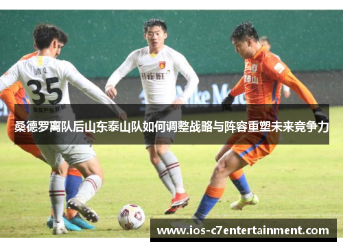 桑德罗离队后山东泰山队如何调整战略与阵容重塑未来竞争力