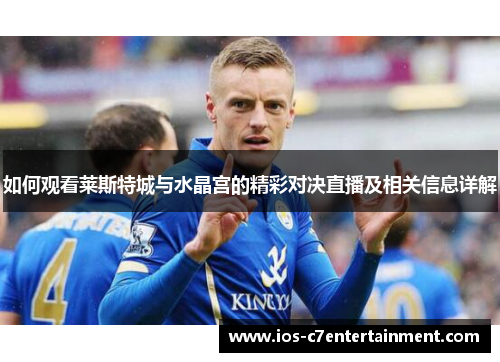 如何观看莱斯特城与水晶宫的精彩对决直播及相关信息详解