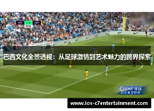 巴西文化全景透视：从足球激情到艺术魅力的跨界探索