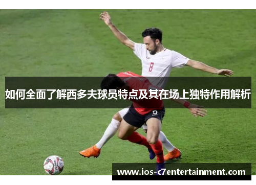 如何全面了解西多夫球员特点及其在场上独特作用解析