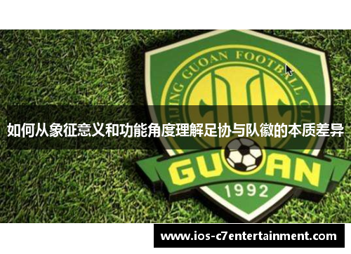 如何从象征意义和功能角度理解足协与队徽的本质差异