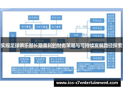 实现足球俱乐部长期盈利的财务策略与可持续发展路径探索