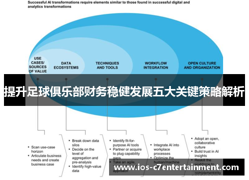 提升足球俱乐部财务稳健发展五大关键策略解析