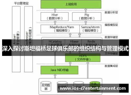 深入探讨斯坦福桥足球俱乐部的组织结构与管理模式