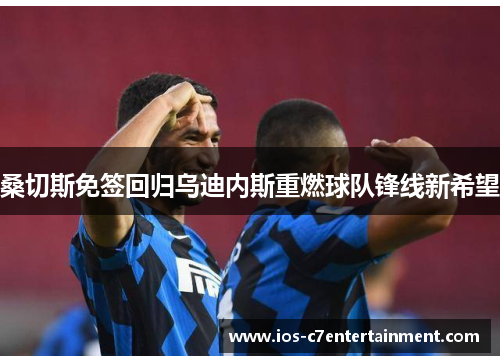 桑切斯免签回归乌迪内斯重燃球队锋线新希望