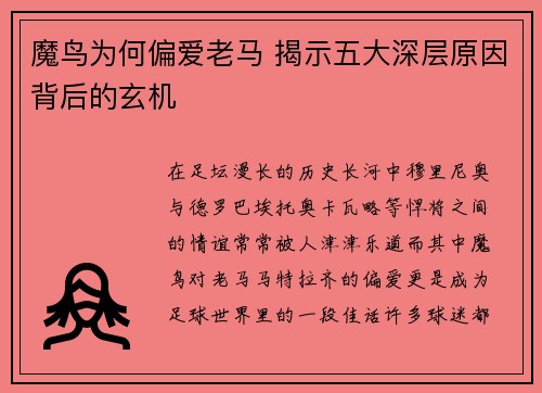 魔鸟为何偏爱老马 揭示五大深层原因背后的玄机