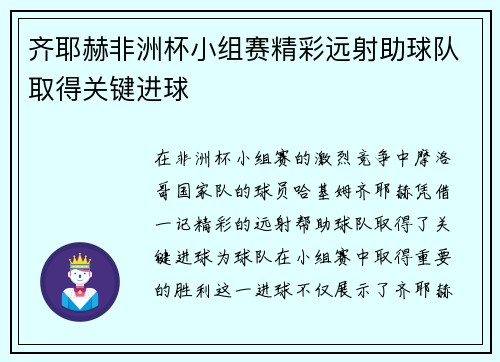 齐耶赫非洲杯小组赛精彩远射助球队取得关键进球